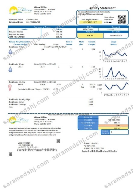 USA Georgia City of Albany water and electricity utility bill template in Word and PDF format